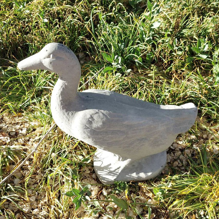 13.5in duck (6)