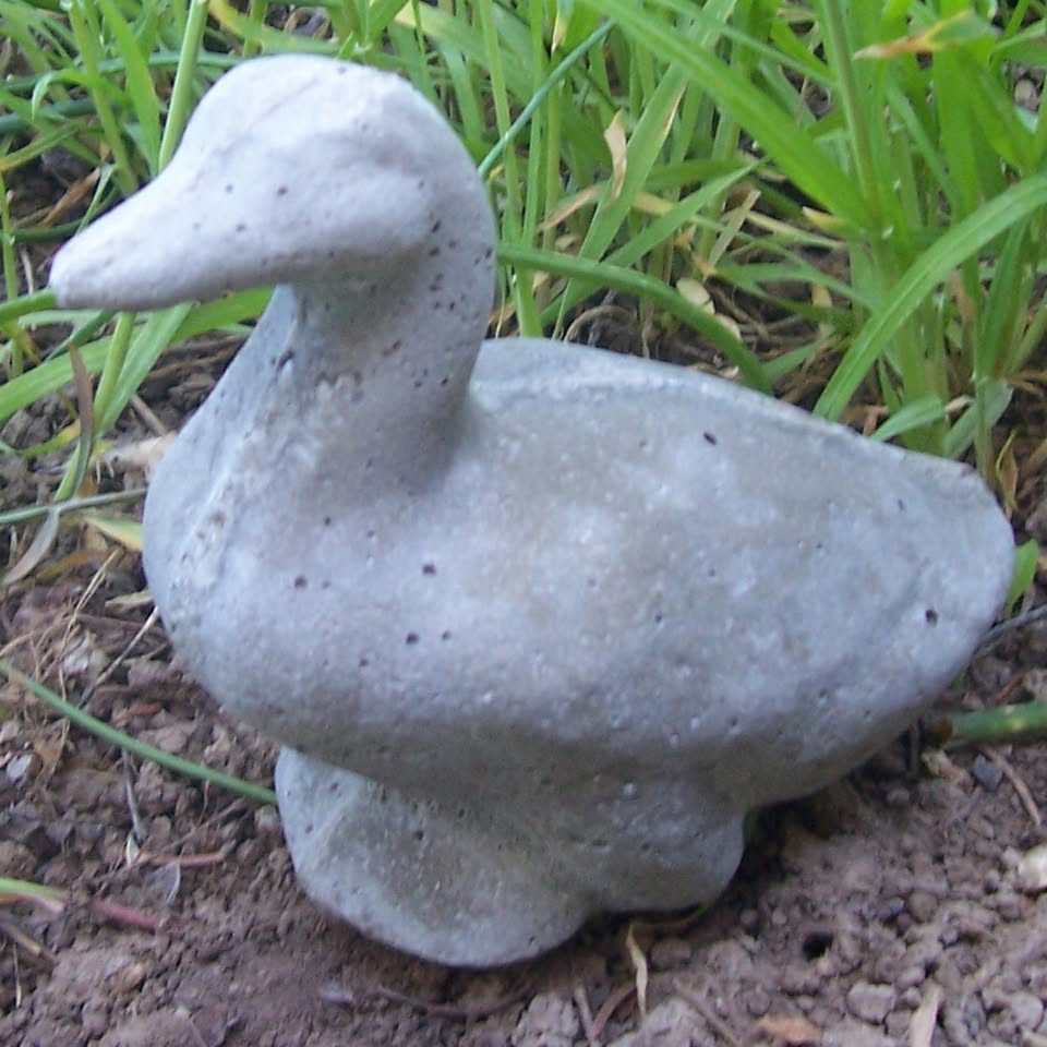 baby duck (5)