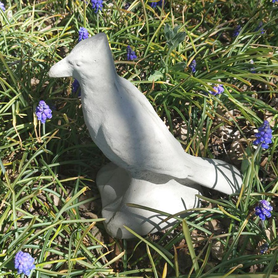 cardinal on base (2)