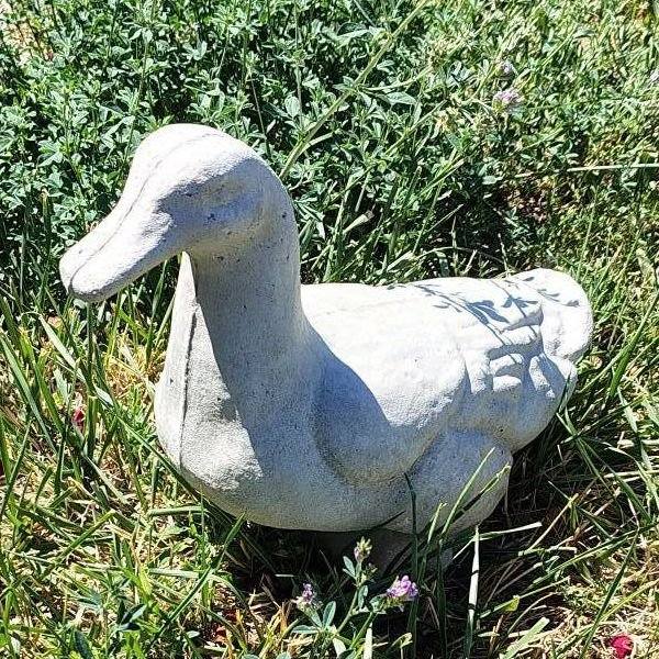 duck 10.75in