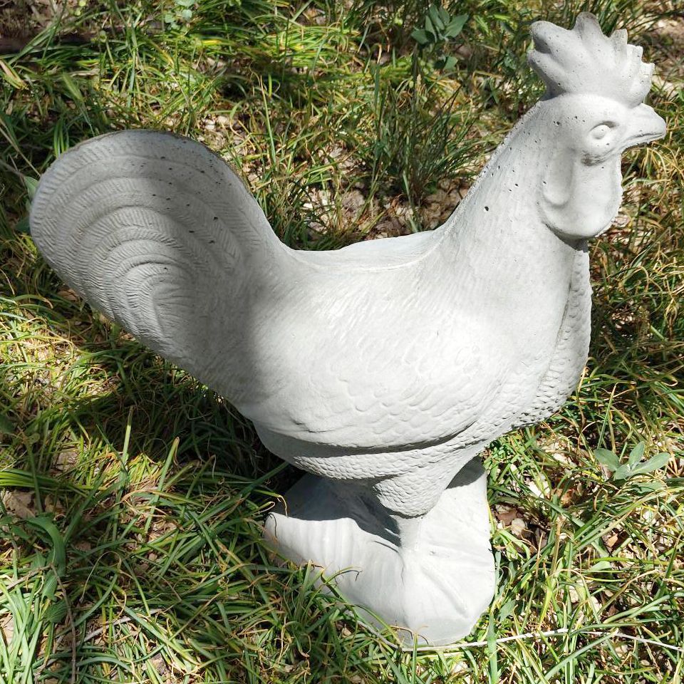 rooster 20in (1)